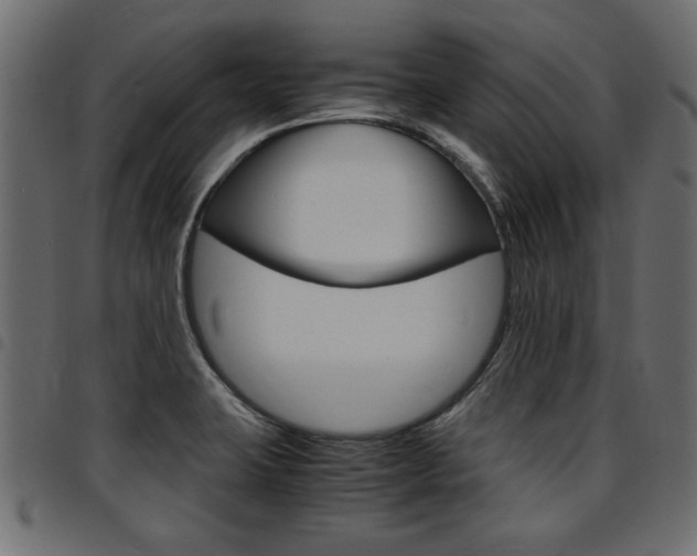 X0000094911423200711290950