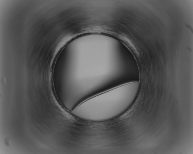 X0000094911424200711290950