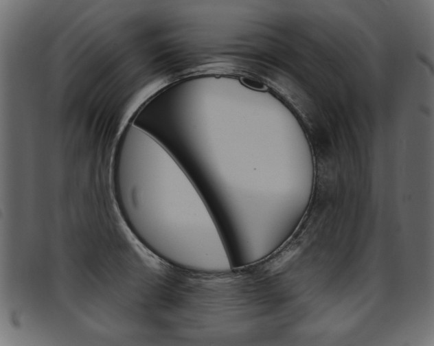 X0000094911426200711290950