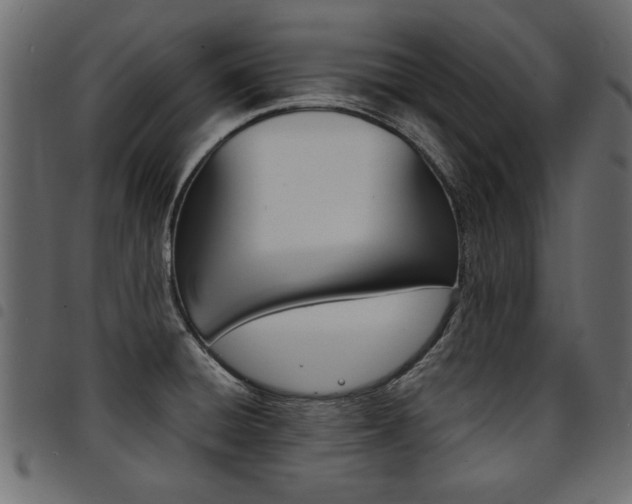 X0000094911428200711290950