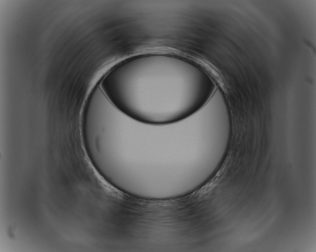 X0000094911430200711290950