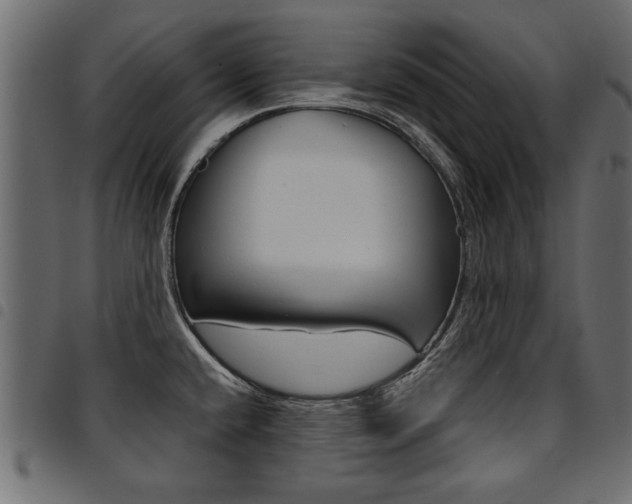 X0000094911432200711290950