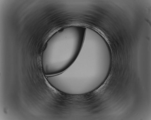 X0000094911433200711290950