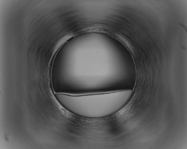 X0000094911434200711290950
