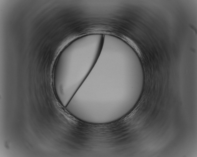 X0000094911435200711290950