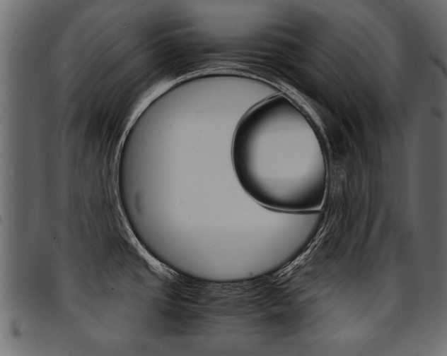 X0000094911437200711290950