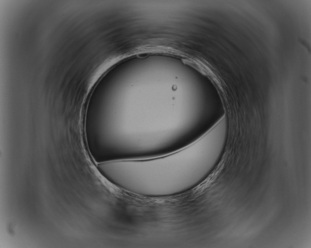 X0000094911438200711290950