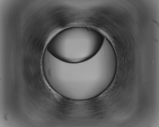 X0000094911440200711290950