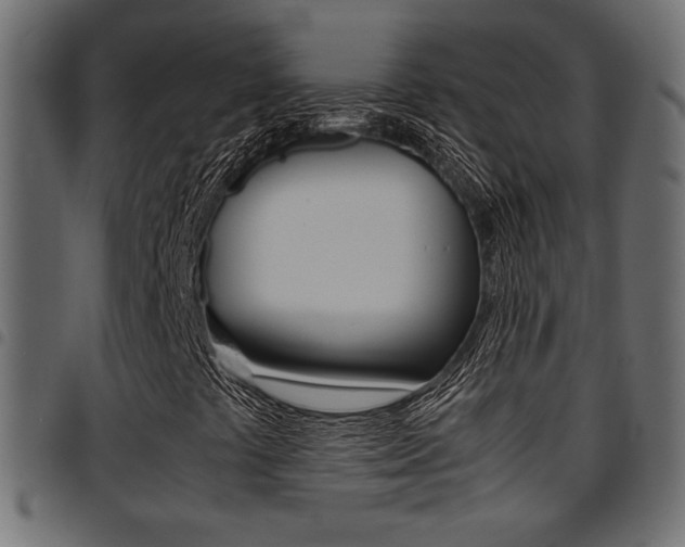 X0000094911441200711290949