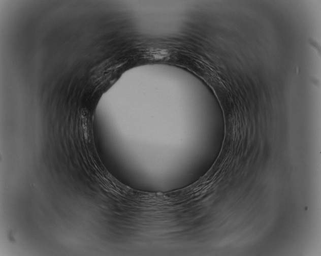 X0000094911442200711290949