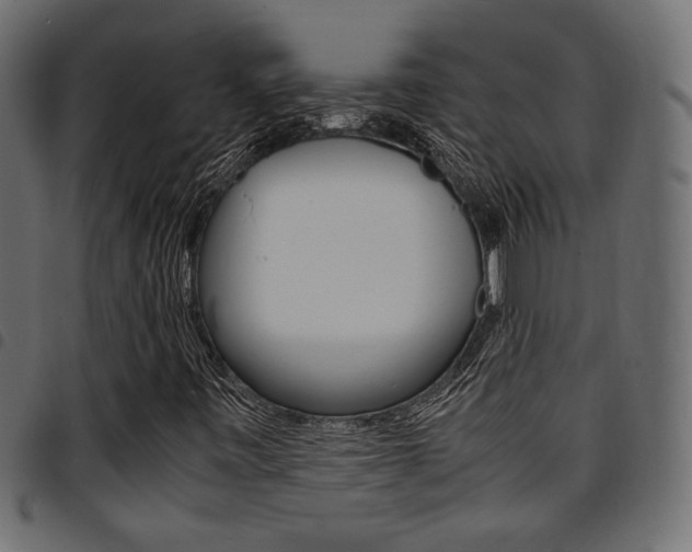 X0000094911443200711290949