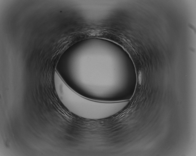 X0000094911444200711290949