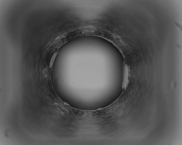 X0000094911445200711290949
