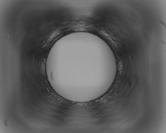X0000094911446200711290949