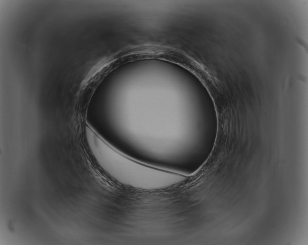 X0000094911448200711290949