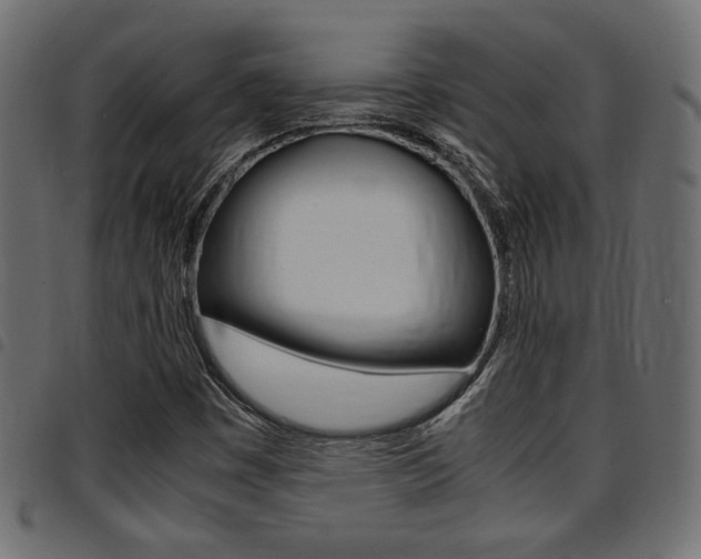 X0000094911449200711290949