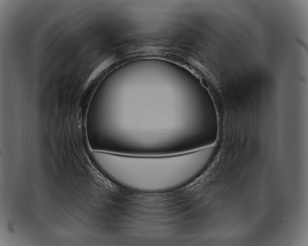 X0000094911450200711290949