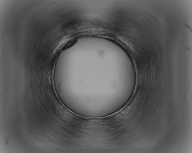 X0000094911451200711290949