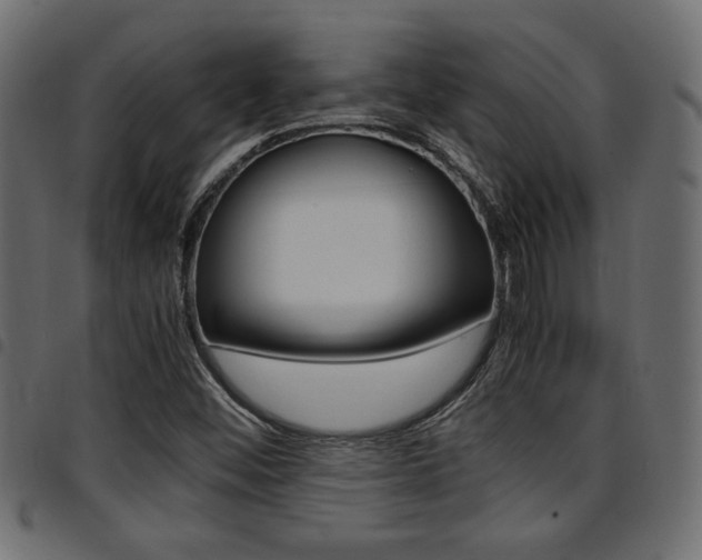 X0000094911452200711290949