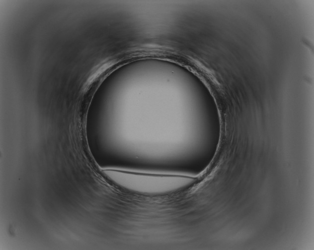 X0000094911453200711290949