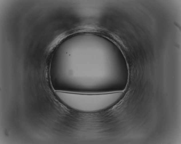 X0000094911455200711290949
