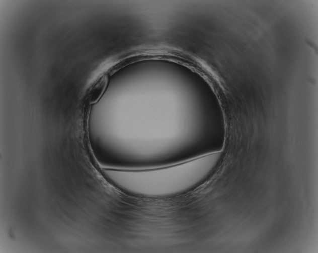 X0000094911456200711290949