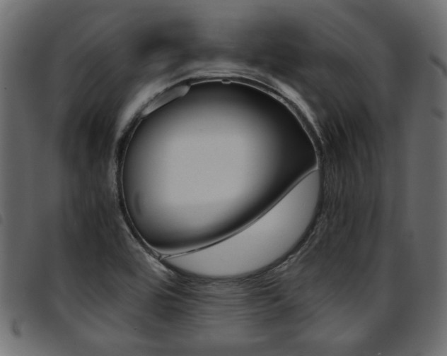 X0000094911464200711290949