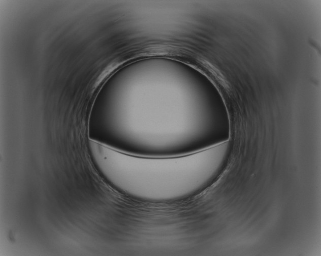 X0000094911465200711290949
