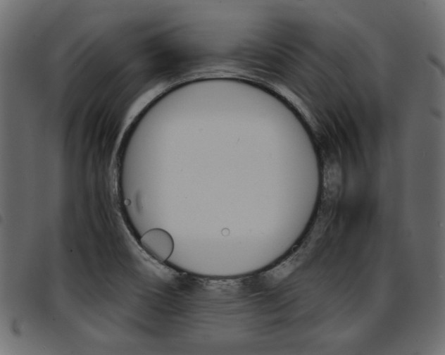 X0000094911466200711290949