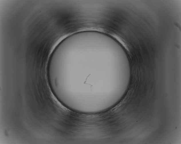 X0000094911468200711290949
