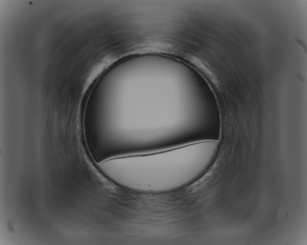 X0000094911469200711290949