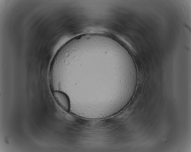X0000094911471200711290949