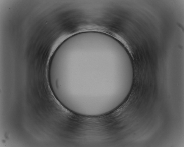 X0000094911472200711290949