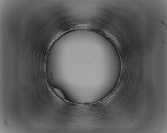 X0000094911473200711290949