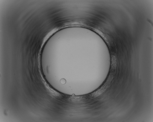 X0000094911474200711290949