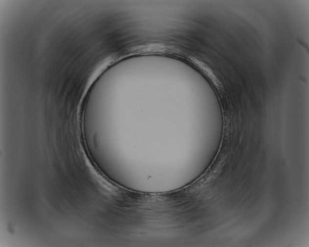 X0000094911475200711290949