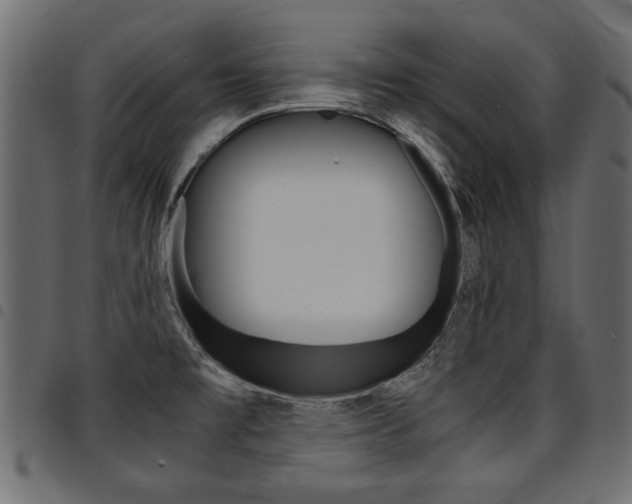 X0000094911477200711290949