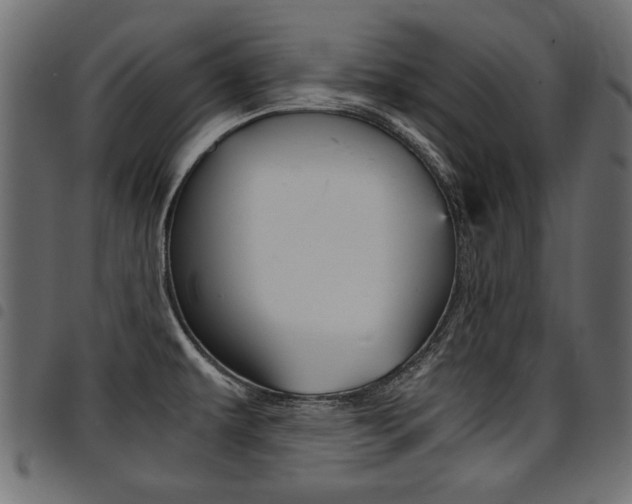 X0000094911479200711290949