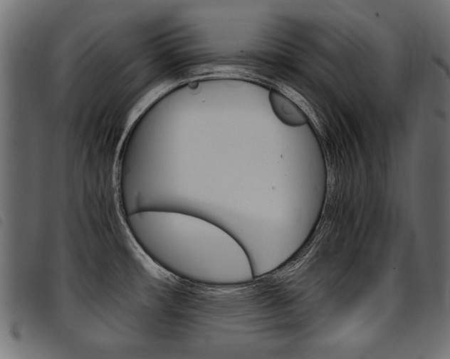 X0000094911482200711290949