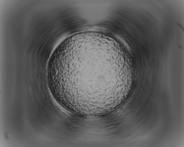X0000094911483200711290948