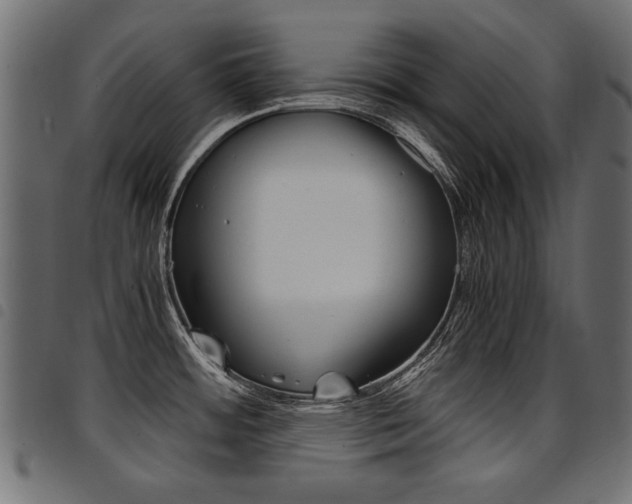 X0000094911484200711290948