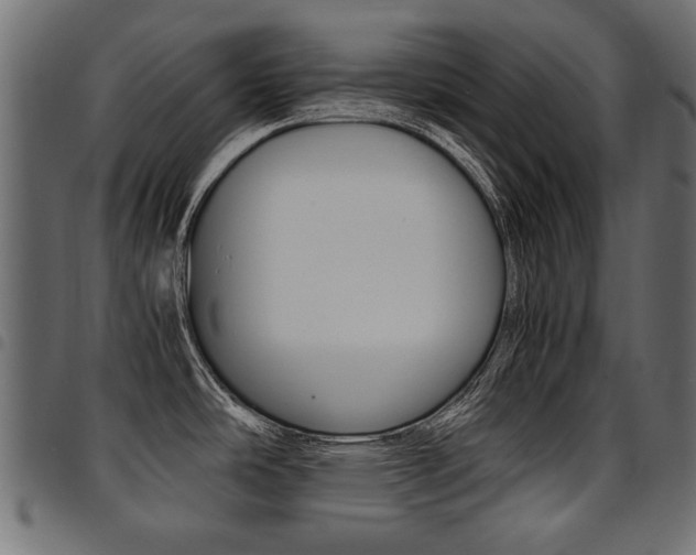 X0000094911486200711290948