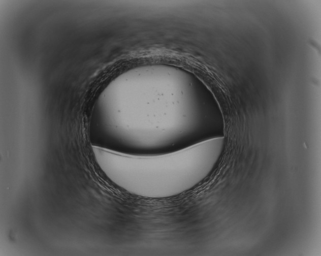 X0000094911493200711290948
