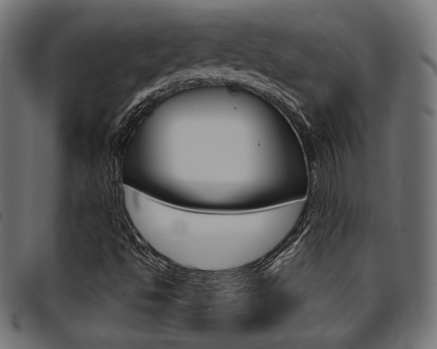 X0000094911494200711290948