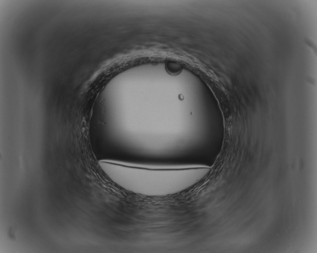 X0000094911495200711290948