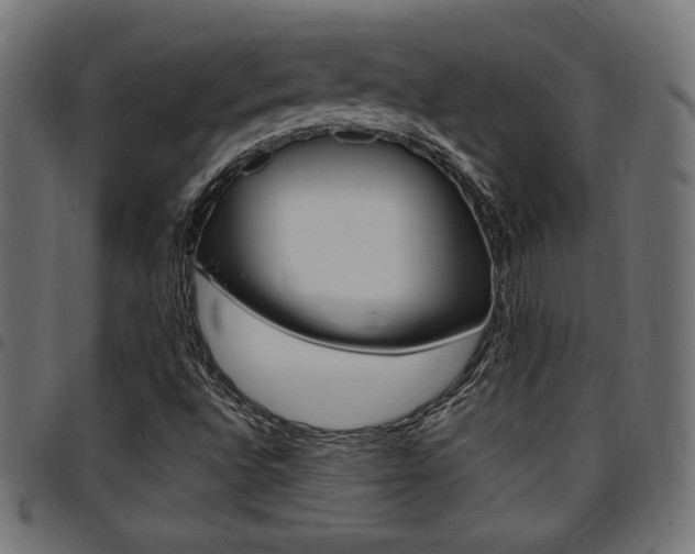 X0000094911496200711290948