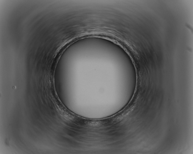 X0000094911497200711290948