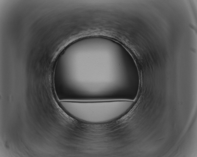 X0000094911500200711290948