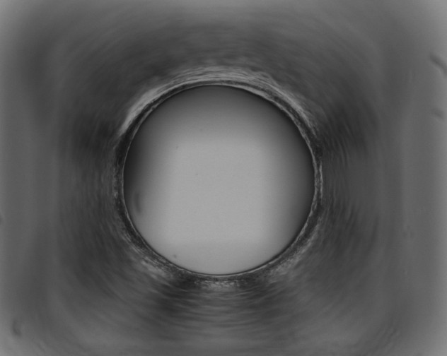 X0000094911501200711290948