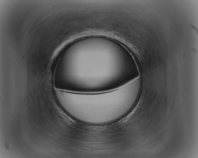 X0000094911502200711290948